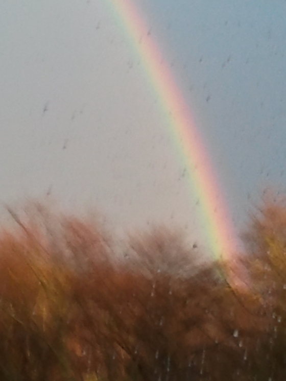 It's a Rainbow